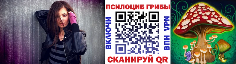 Галлюциногенные грибы Psilocybe  где найти наркотики  площадка клад  Агидель 